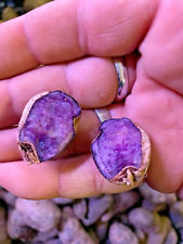 20 PATATE PATATA VIOLA