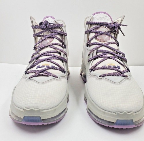 Nike lebron xix strive - 19,