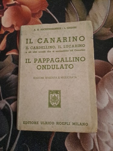 Canarino cardellino il - il,