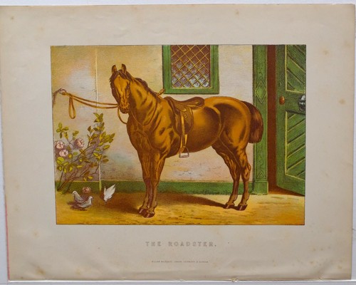 Stampa ferratura 1880 il - di,