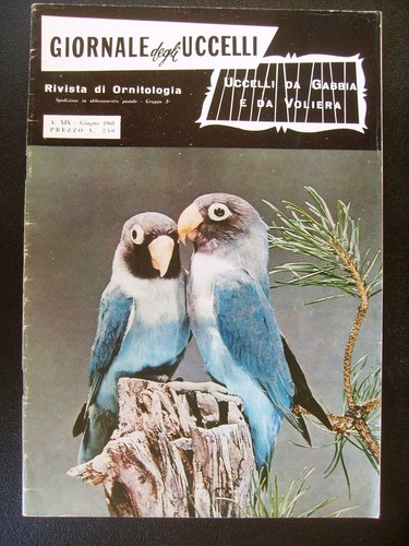 Giornale degli uccelli rivista - giornale,