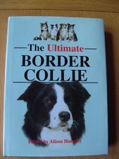 The Ultimate Border Collie