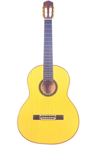 Chitarra flamenca domingo - chitarra,