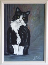 Quadro gatto nero animale