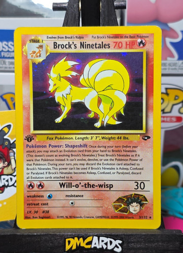 Pokemon brock ninetales - pokemon,