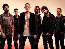 V4875 Mike Shinoda Hahn