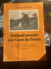 Addestramento Del Cane Da