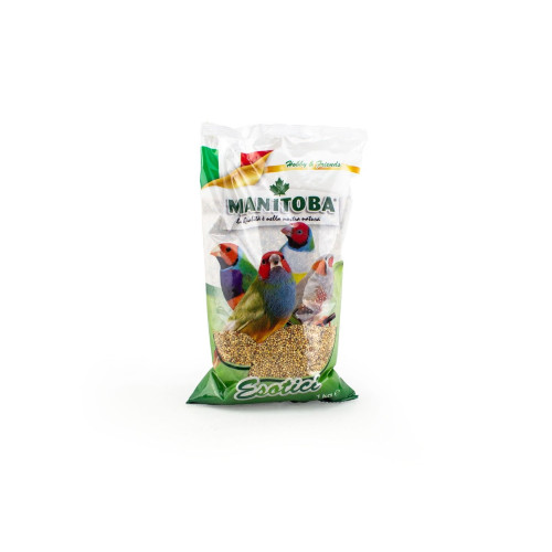 Mangime uccelli esotici kg - uccelli,