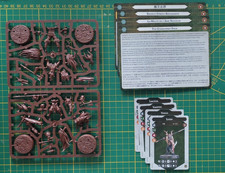 Warhammer  underworld / AOS :  gnarlspirit pack / meute de l'âme noueuse