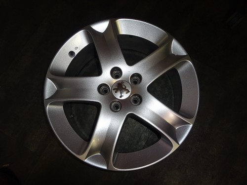 Cerchio lega peugeot - in,