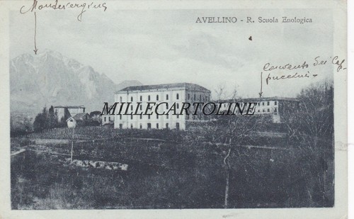 Avellino scuola enologica - avellino:, r.