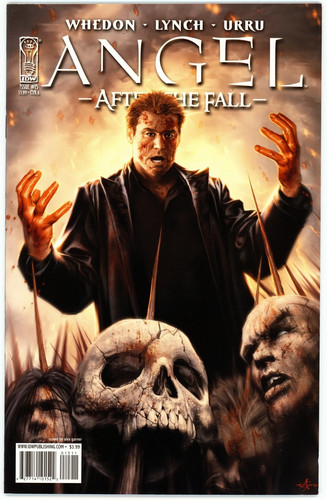 Angel after the fall - after,