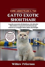 Come addestrare il tuo gatto