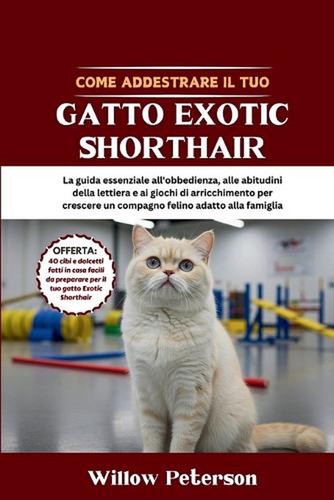 Come addestrare tuo - addestrare,