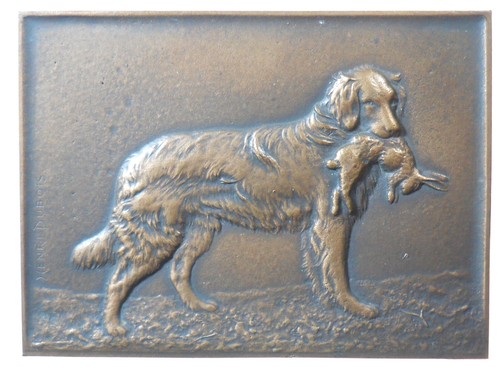 France hunting dog with - france,