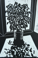 Incisione lino ficus - incisione,