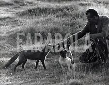 Foto vintage Regno Unito, una