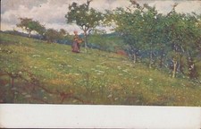 GIORGIO BELLONI - MARASCARI