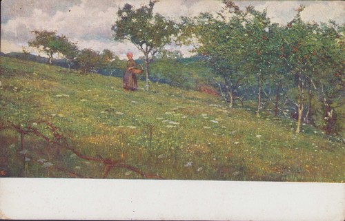 Giorgio belloni marascari - belloni,