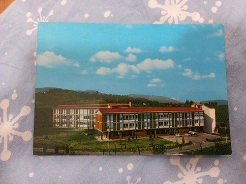 Cartolina mariapoli - cartolina,