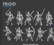 Elf Shade Warriors X10 28mm