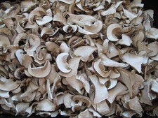 Funghi Porcini Secchi Porcini