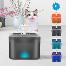 Fontanella Per Gatti，Fontana