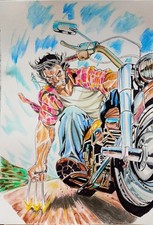 Quadro Wolverine