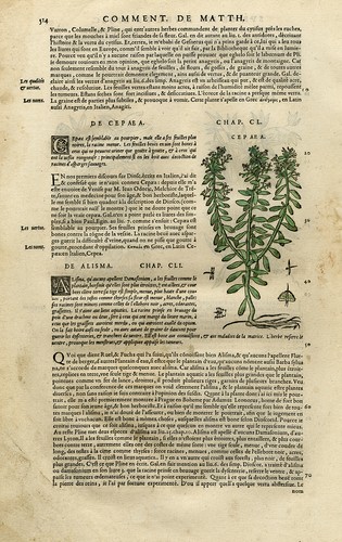 Stampa