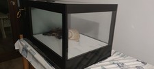 Acquario Per Aragoste E Astici