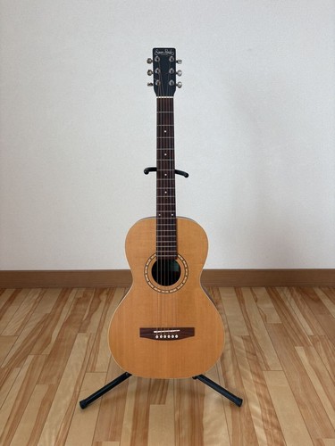 Chitarra simon patrick parlor - simon,
