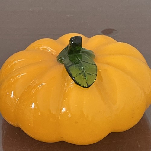 Bellissima zucca vetro di - zucca,