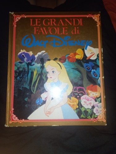 Libro cartonato grandi - libro,