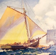 Copertina Compagno Giovanile