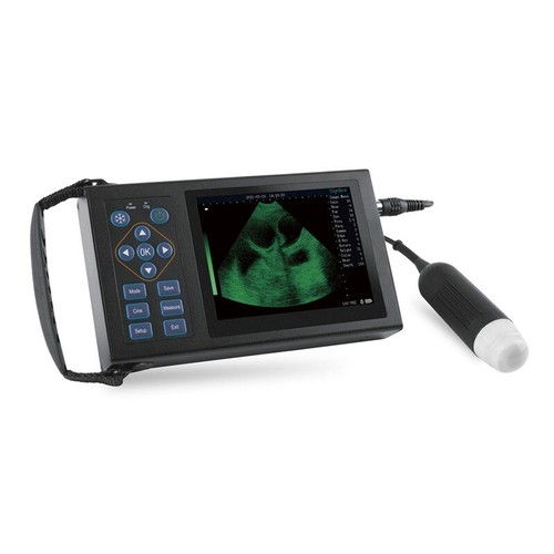 M10 sonda meccanica - sonda,
