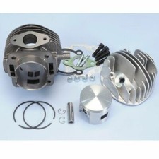 1400056 POLINI CILINDRO D.55