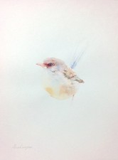 Scrittoiolo delle fate