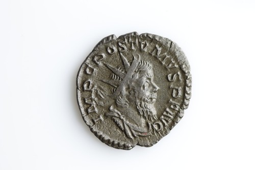 Postumo herc devsoniensi - -,