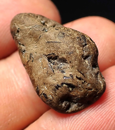 Jurassic ichthyosaur coprolite