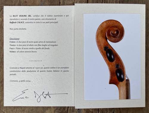 Antico violino calace - violino,, r.