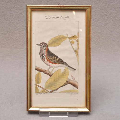 Buffon antico handcolorierter - antico,