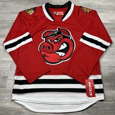 Rockford IceHogs CCM AHL