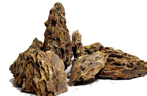 Pietra del drago ohko - drago,