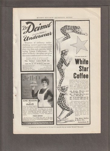 1903 white star coffee rivista - white,
