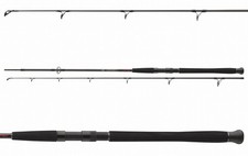 Daiwa Exceler Catfish Spin