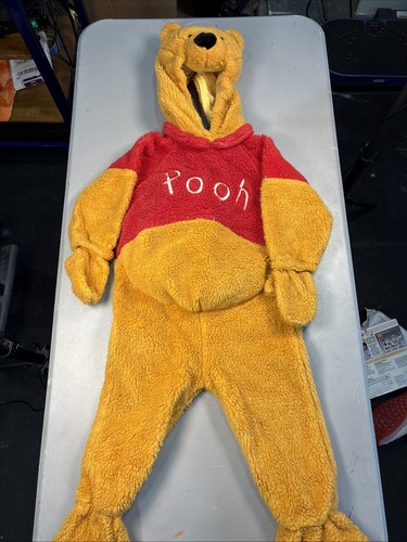 Disney winnie the pooh - winnie, costume
