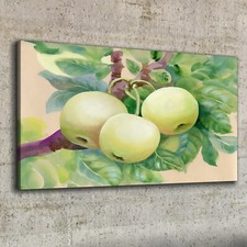 Stampa su tela 100x50 quadro