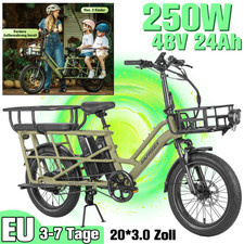 Bicicletta elettrica 250W