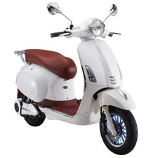 Bicicletta elettrica per