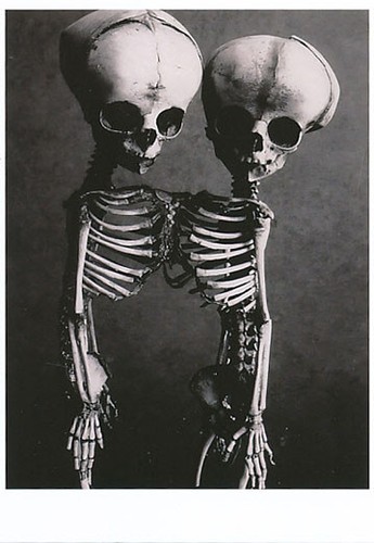 Marina abramovic ulay - marina, 7